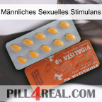 Männliches Sexuelles Stimulans 43